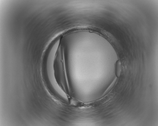 X0000066000728200603311956