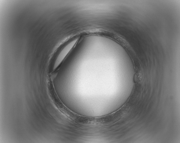 X0000066000732200603311956