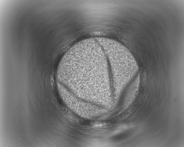 X0000066000746200603311956