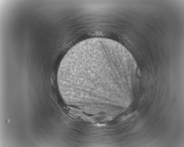 X0000066000747200603311956
