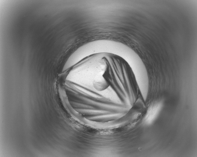 X0000066000750200603311956