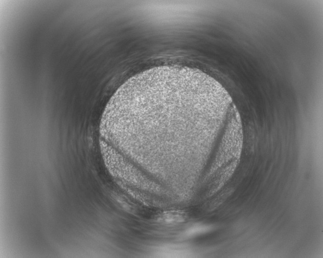 X0000066000758200603311956