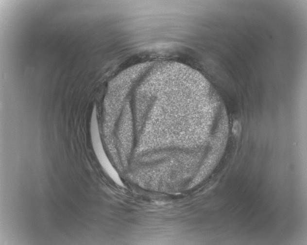 X0000066000771200603311956