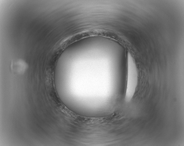 X0000066000773200603311956