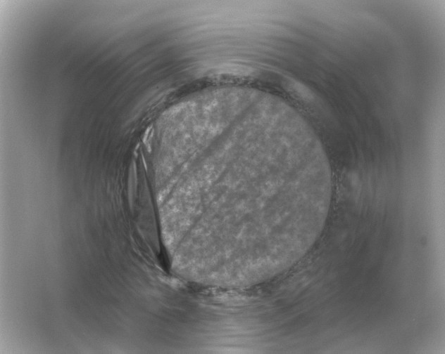 X0000066000774200603311956