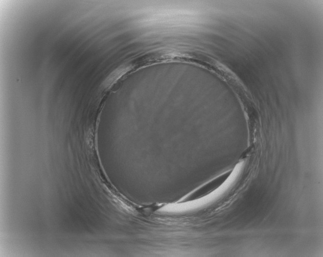 X0000066000785200603311956