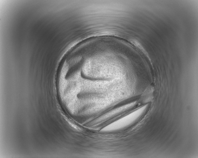 X0000066000789200603311956