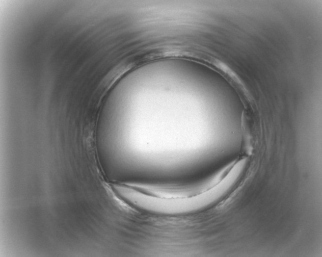 X0000066000801200603311955