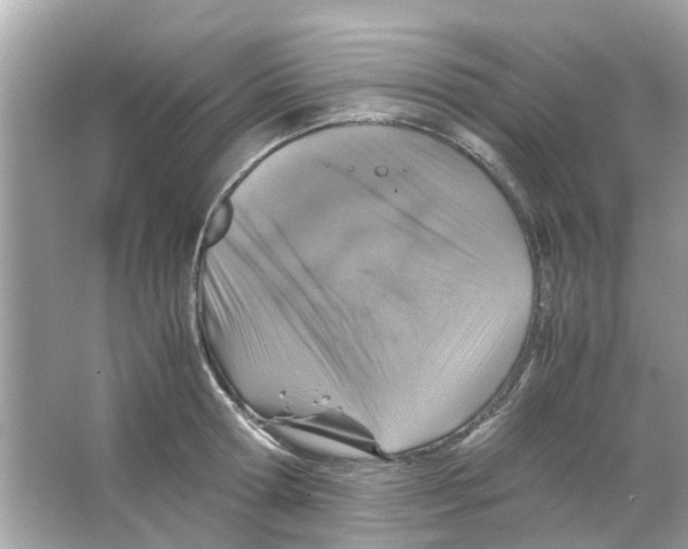 X0000066000802200603311955