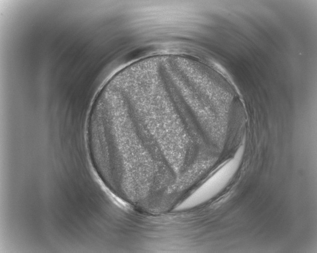X0000066000803200603311955