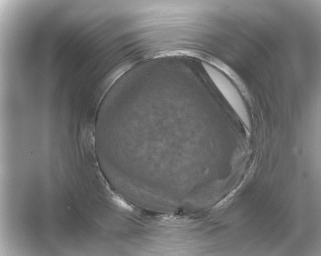 X0000066000809200603311955