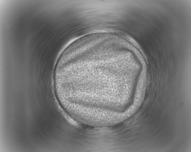 X0000066000811200603311955