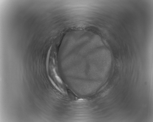 X0000066000818200603311954