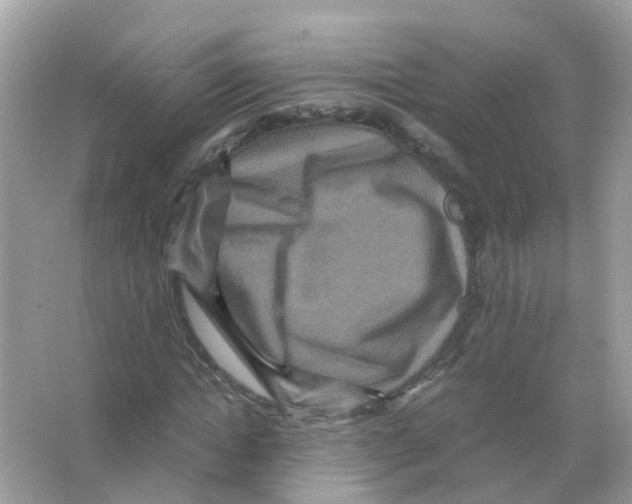 X0000066000822200603311954