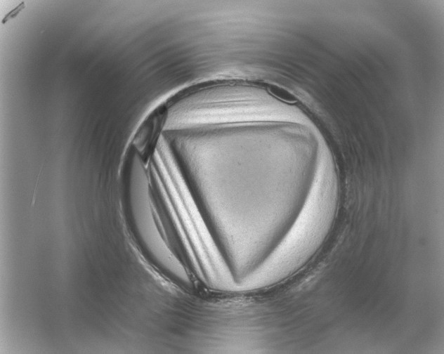 X0000066000838200603311955