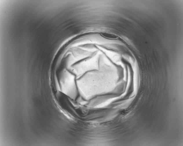 X0000066000846200603311955