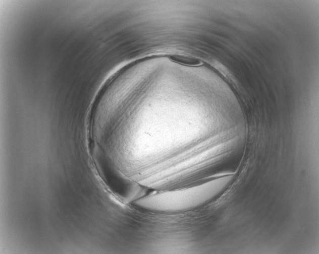 X0000066000854200603311955