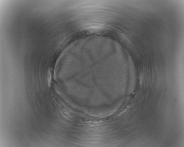 X0000066000868200603311954