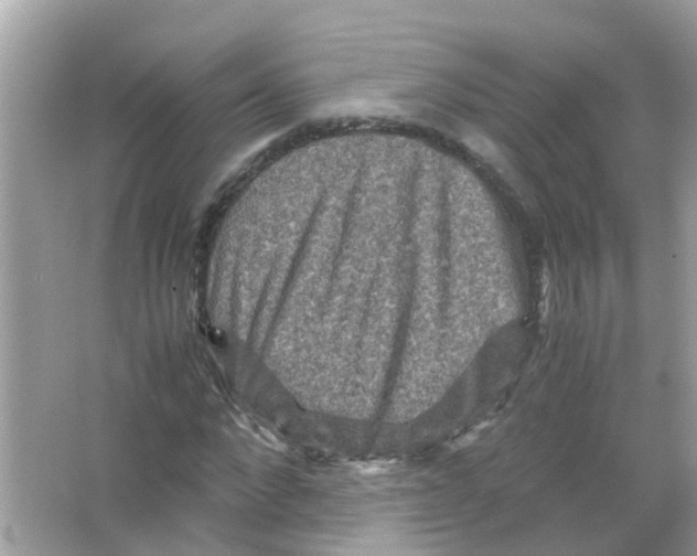 X0000066000872200603311954