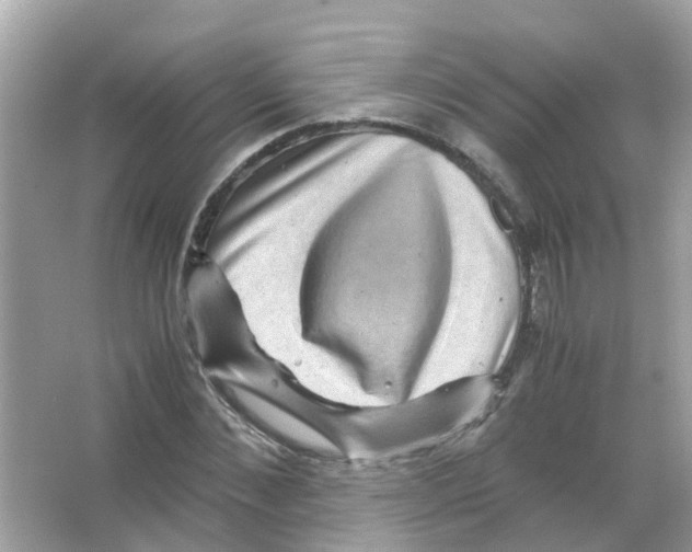 X0000066000876200603311954