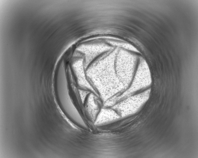 X0000066000894200603311954