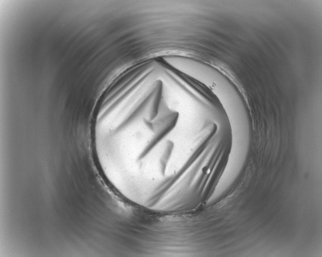 X0000066000898200603311954
