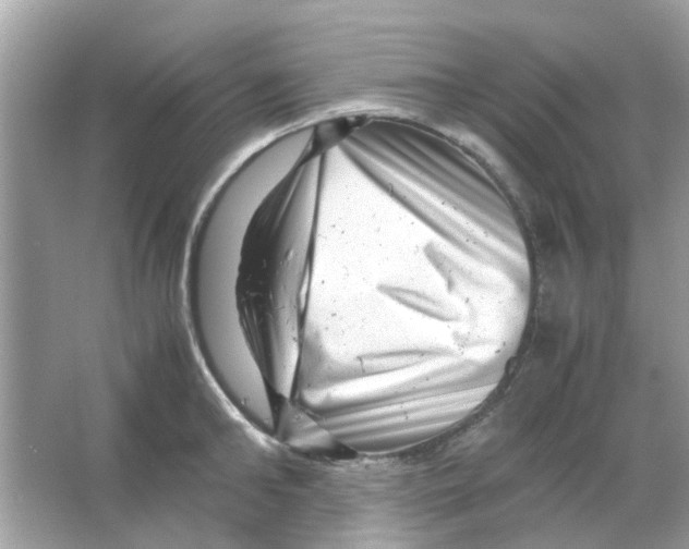 X0000066000902200603311954