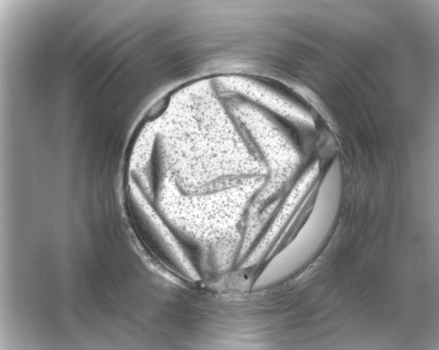 X0000066000904200603311954