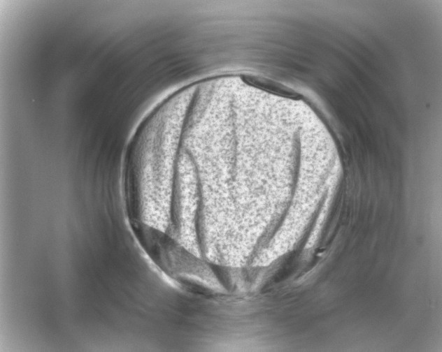 X0000066000910200603311953