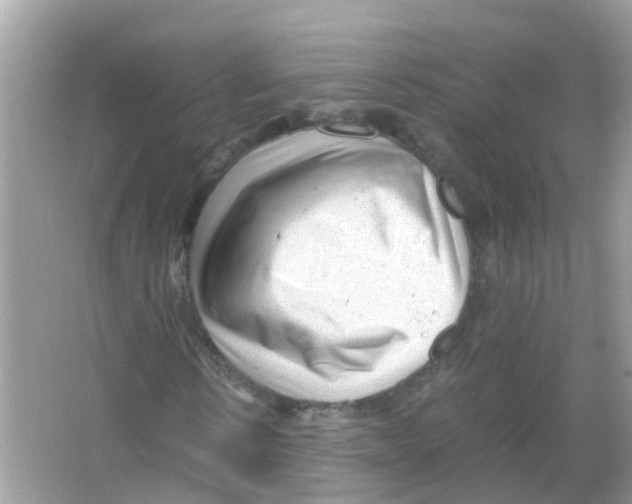 X0000066000914200603311953