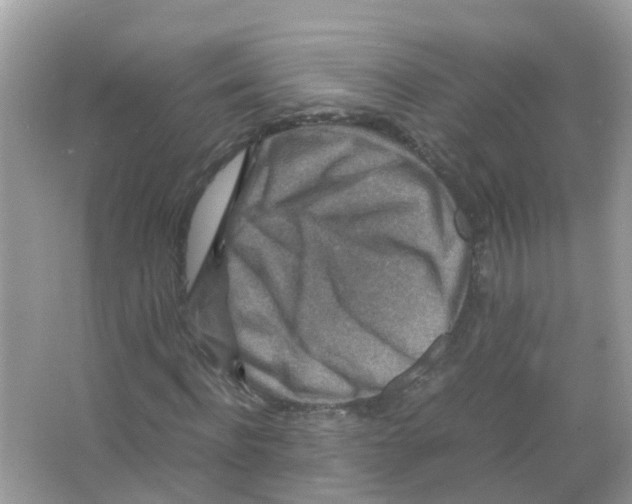 X0000066000916200603311953