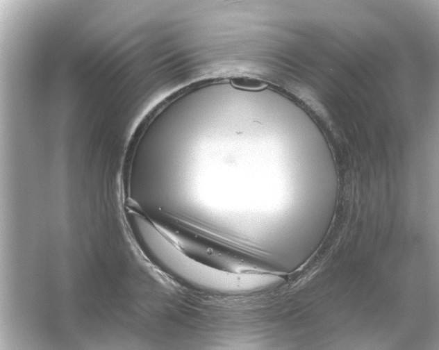 X0000066000936200603311953
