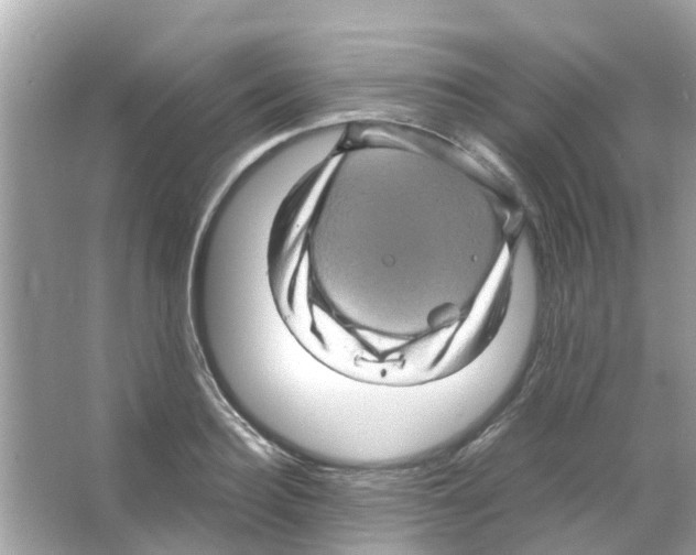 X0000066000940200603311953