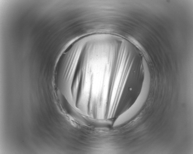 X0000066000956200603311953