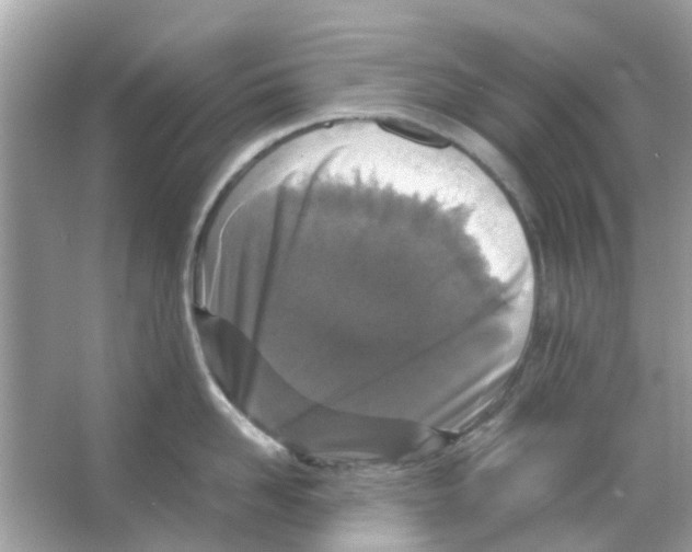 X0000066000958200603311953