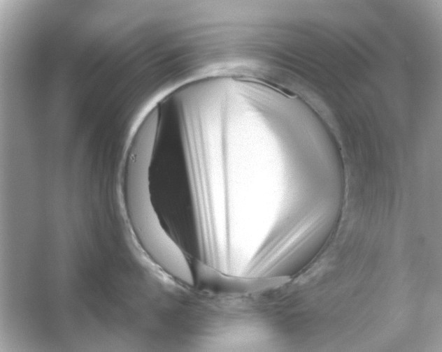 X0000066000960200603311953