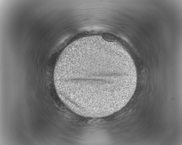 X0000066000967200603311953