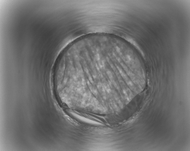 X0000066000983200603311952