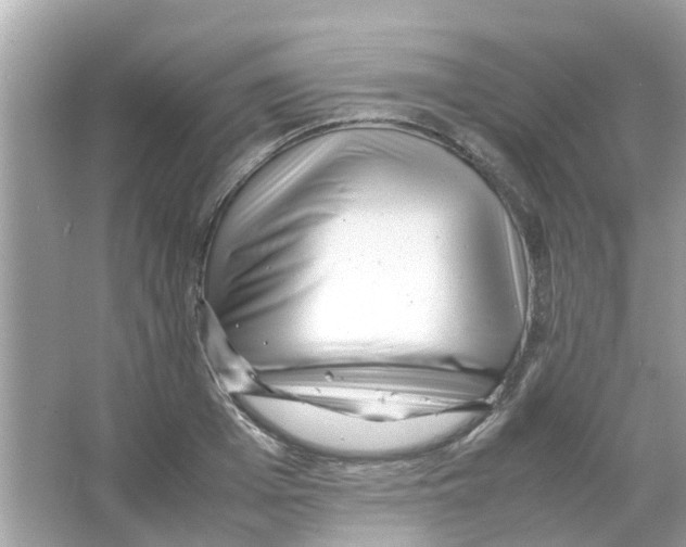 X0000066000985200603311952