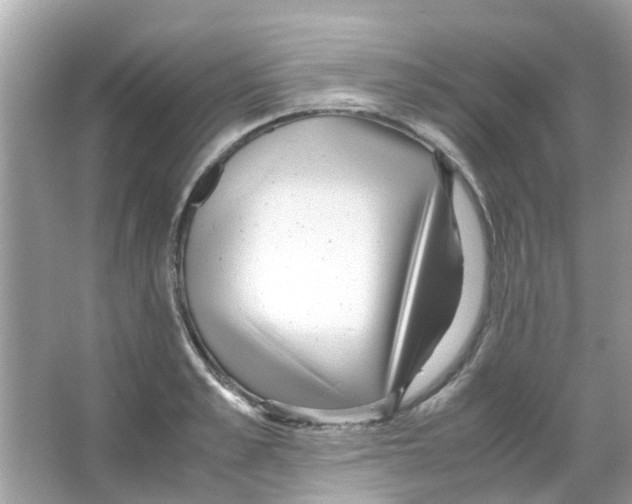 X0000066000989200603311952