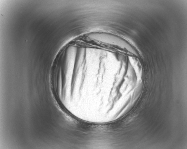 X0000066000991200603311952