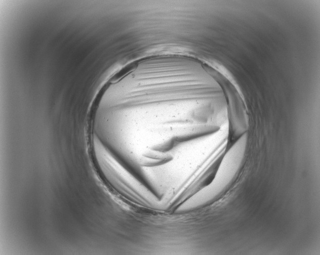 X0000066000997200603311952