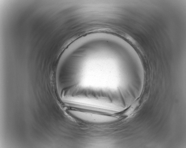 X0000066001001200603311952
