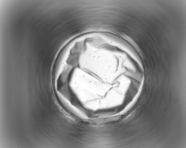 X0000066001004200603311952