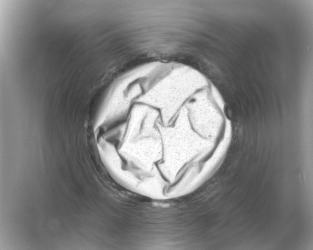 X0000066001012200603311951