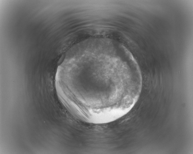 X0000066001013200603311951