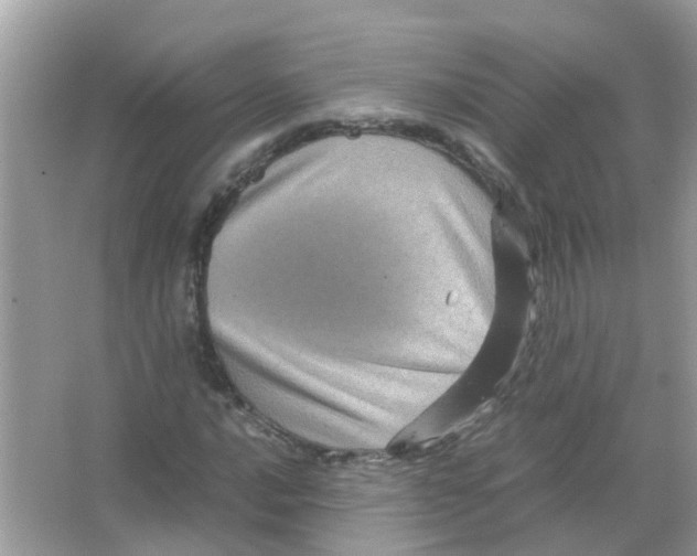 X0000066001016200603311951