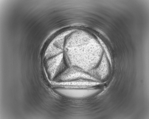 X0000066001021200603311951