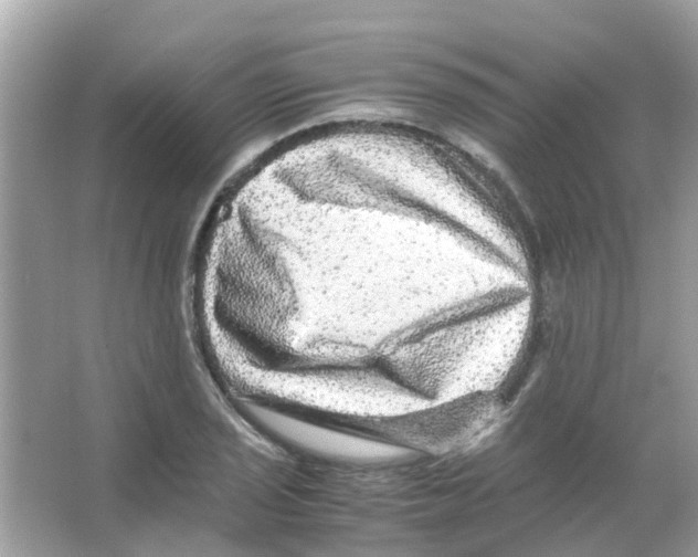 X0000066001029200603311951
