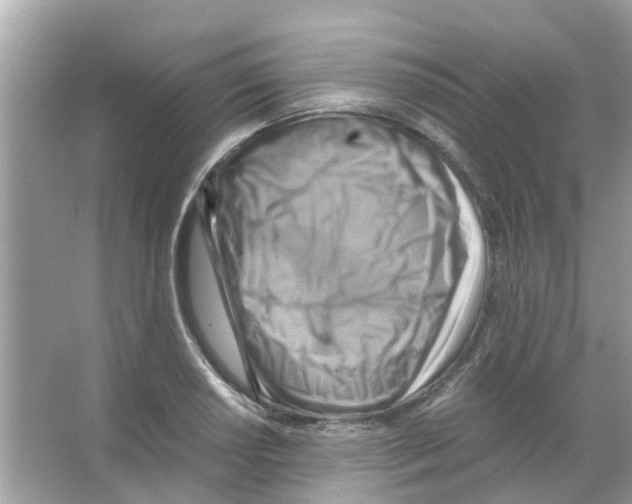 X0000066001034200603311951